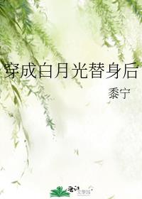 穿成白月光替身后
