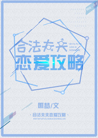 合法夫夫恋爱攻略
